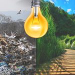 Environmental News - Lagos To Generate Energy From Waste & More