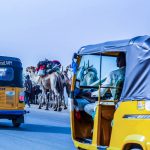 Minimizing Your Environmental Impact While Traveling in Nigeria